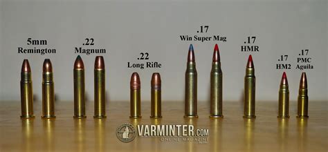 17 caliber rifle ballistics.